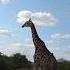 Kruger National Park