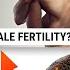 SHAHI MAJUN Se Mardana Kamzoori Ka Ilaj Majun Majoun For Male Fertility Dr Ibrahim