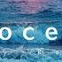 Roa Innocence Official