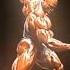 Power Of Roni Colman