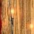 Alexandra Stan Boy You Make Me High Get Back ASAP FLV