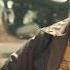 Saale Aashiq Revenge Action Movie Love Bollywood Movieclip Funny Actionscens