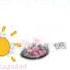 Еду в Анталию Хлеб Дети Rave Tagoded Shorts Hlebmusic Panarinkaa Tagoded Stickers