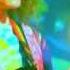 Ed Wynne Ozric Tentacles Solo Examples Mp4