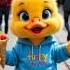The Story Of The Little Duck When Happiness Turns To Sorrow Cute Duckling Duck Ducklinglu