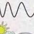 The Electromagnetic Spectrum Song By Emerson Wong Yann Singapore