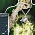 How To Make NEW WAVE Beats For Yeat FL Studio Tutorial