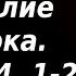 Судьба Слова Божьего Четыре вида устроения души Беседы на Евангелие от Марка Свт В Кинешемский