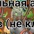 МОМЕНТАЛЬНАЯ АКТИВАЦИЯ ЛЮБОГО КОРОБАСА прочитай описание