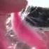 Pinkie Pie Cannibal