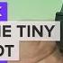 Meet Vector The Tiny Home Robot