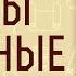 Птицы небесные Монах Симеон Афонский Том II Часть 3