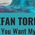 STEFAN TORRES DON T YOU WANT MY LOVE