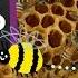 Busy Bees Bumblebees And Honeybees Amazing Animals SciShow Kids