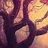 Dark Forest Ambience And Music Sounds Of Dark Misty Forest With Ambient Music Meditation Power