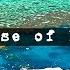 1 Hour And 30 Minute Of Daily Dose Of Internet