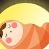 小星星 哄睡白噪音
