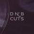 Ross Lara DnB Cuts EP
