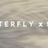 방탄소년단X블랙핑크 Butterfly Stay 피아노 리믹스
