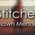 Shawn Mendes Stitches 8D AUDIO