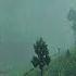 Rainy Day Bliss Walking In A Misty Mountain Village ASMR Rain Walks Compilation For Deep Sleep