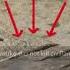 Yasuke Naoe Civilian Kill Prompts In Assassin S Creed Shadows