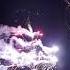 Local Festival Display In Indian Date Palm Echa Maram Echamaram Disply Localfestival Shorts