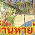 894 54 พ อช ย ฝ นพาย พ ดบ านหายไป เหล อแต รถ เห นเลขรถ 16 ม ค 68