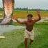 Vosra Gore Khete Senek Aya Bachalo Hara Hara Shambhu Short Video