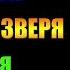 Заметки 165 Природа зверя Надежда Попова впечатления после прочтения книги