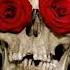 BABY S ON FIRE DIE ANTWOORD Audio