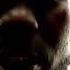 DMX Catz Dont Kno 2023 𝕿𝖔𝖓𝖞𝕲𝖎𝖚𝖑𝖎𝖆𝖓𝖎 RmX