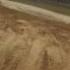 Florida Track And Trails 4 2 17