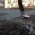 Карантин прилетит вдруг волшебник в голубом вертолёте