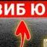 БОЙЛИК ДУОСИ ЖУДА КУЧЛИ ДУО дуолар Ish Yu