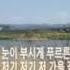 송창식 푸르른 날