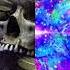 Far Too Loud Yookie X Similar Outskirts Shockwave MashUp