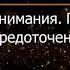 Брюс Алан Уоллес Глава 12 Революция внимания Пробуждение силы сосредоточенного ума