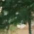Kimse Bilmez Nobody Knows Episode 38 Love And Secrets