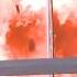 Cat Takes Advice From Crowd And Jumps From Burning Building