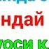 ТАЖВИД ДАРСЛАРИ 84 ДАРС тиловат саждаси кандай килинади дуоси батафсил Tajvid Darslari 84 Dars