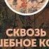 Британские легенды и сказки Сквозь волшебное кольцо часть первая