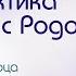 Практика работы с Родом