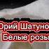 Юрий Шатунов Белые розы Немного теплее за стеклом S517