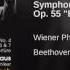 Symphony No 3 In E Flat Major Op 55 Eroica I Allegro Con Brio