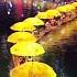 Art Or Umbrellas Shorts China Place Nature Zain