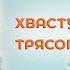 ХВАСТУНЬЯ ТРЯСОГУЗКА