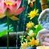Serene Spa Music With Lotus Bamboo Water Sounds Meditationmusic Relaxing Soothingrelax