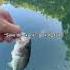 What Is This Sound Fishing Shorts Bassfishing Fyp Rbfishing Funny