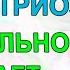 Эндометриоз что реально помогает Гинеколог Екатерина Волкова